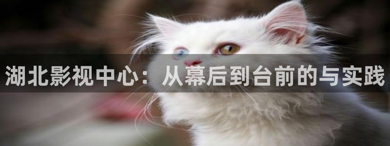 樱桃电影免费在线观看