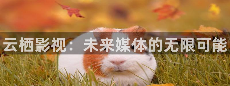 樱桃高清影院：云栖影视：未来媒体的无限可能