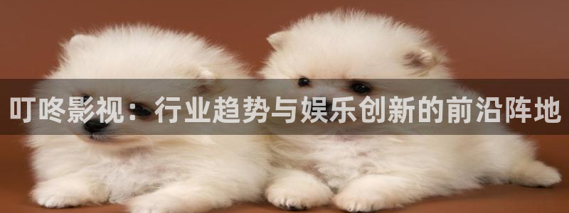 私人樱桃影院：叮咚影视：行业趋势与娱乐创新的前沿阵地