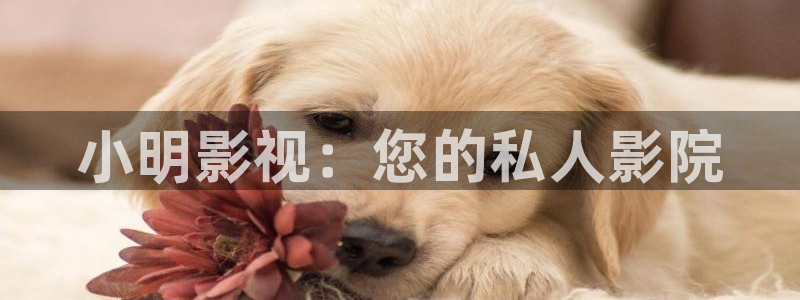 樱桃视频在线播放：小明影视：您的私人影院