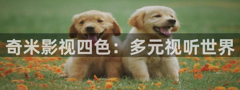 樱桃视频视频在线看免费观看：奇米影视四色：多元视听世界